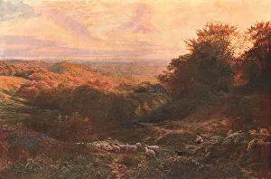 George Vicat Cole Prints: The Heart of Surrey, 1874, (c1902). Creator: Unknown