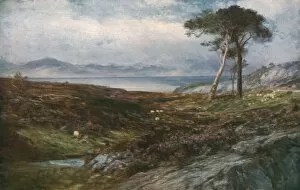 Moorland Collection: Heather: Scottish Highlands, c1910, (c1930). Creator: John MacWhirter