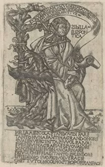 Bartolomeo Baldini Gallery: Hellespontine Sibyl, early 15th century. Creator: Unknown