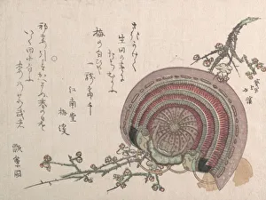 Kyosai Prints: Helmet and Plum Blossoms. Creator: Totoya Hokkei