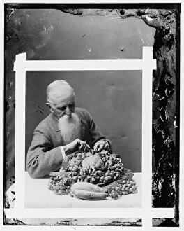 Elderly Man Gallery: Hendley, John. Wax worker, Agriculture Dept. (His art died with him), between 1890 and 1910