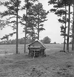 Chicken Coop Collection: Henhouse on Negro tobacco farm, Person County, North Carolina, 1939. Creator: Dorothea Lange