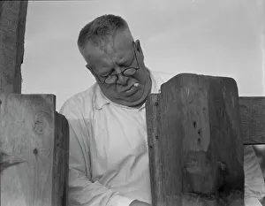 Resettlement Prints: Henry Lotz closing the gate to the barns at the Midway City Dairy Association