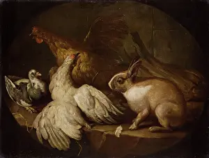 Rabbit Prints: Hens, a Pigeon and a Rabbit, between 1718-1720. Creator: Giovanni Agostino Cassana