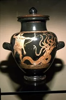 Athens Gallery: Herakles fights the Lernaean Hydra, Attic Vase, 450 BC