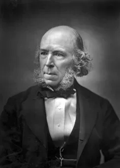 Liberalism Collection: Herbert Spencer (1820-1903), late 19th century