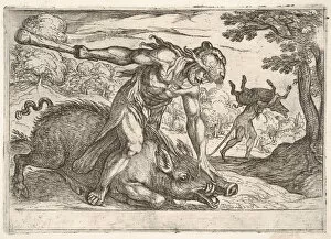 Antonio Collection: Hercules and the Boar of Erymanthus: Hercules holds down the boars snout with his left