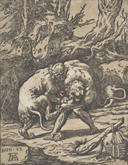 Niccolo Prints: Hercules and the Nemean Lion, 1540-50. 1540-50. Creator: Niccolo Vicentino