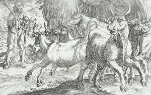 Labours Of Heracles Prints: Hercules and the Oxen of Geryones, 1608. Creators: Antonio Tempesta, Nicolaus van Aelst