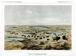 Herd of Bison Near Lake Jessie, North Dakota, USA, 1856. Artist: John Mix Stanley