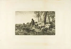 Swineherd Prints: Herd of Pigs with Swineherd, 1878. Creator: Charles Emile Jacque