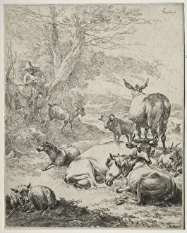 The Herd at Rest. Creator: Nicolaes Berchem (Dutch, 1620-1683)