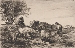 Herd of Sheep, 1864. Creator: Charles Emile Jacque