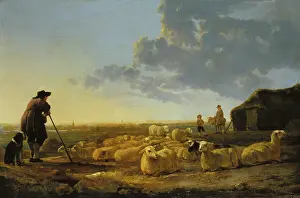 Horizon Prints: Herd of Sheep at Pasture, c1645-1655. Creator: Aelbert Cuyp