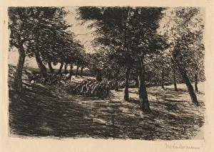 Lieberman Max Prints: Herd of Sheep Under Trees, 1891. Creator: Max Liebermann