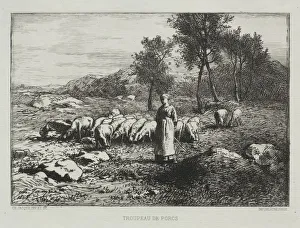 Herd of Swine, 1868. Creator: Charles-Emile Jacque (French, 1813-1894)