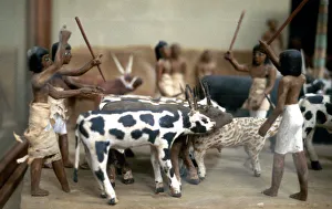 Grave Goods Prints: Herding cattle; Ancient Egyptian tomb model