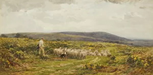 Moorland Collection: A Herefordshire Common, 1860-1900. Creator: James Aumonier
