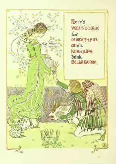 Wild Flower Prints: Here's Venus'-Combe for Maidenhair: While King-Cups drink Bella-Donna, 1899