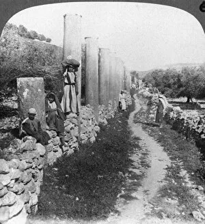 Images Dated 5th January 2008: Herods street of columns, Samaria, Palestine (Israel), 1905.Artist: Underwood & Underwood