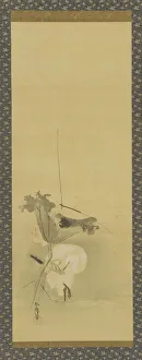 Heron Prints: Heron and lotus, Edo period, mid 17th-early 18th century. Creator: Kano Yoboku Tsunenobu