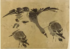 Ardeidae Gallery: Two herons and a goose, Edo period, 1573-1615. Creator: Unknown
