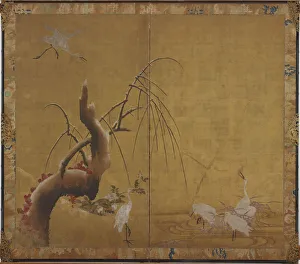 Herons and Old WIllow, Edo period, early 17th century. Creator: Kano Sadanobu Herons and Old WIllow, Edo period, early 17th century. Creator: Kano Sadanobu