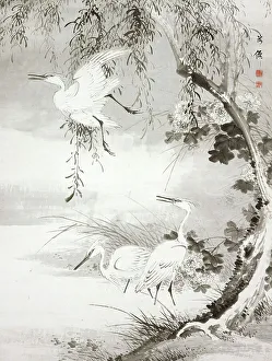 Heron Prints: Herons and Willow, 19th century. Creator: Oda Kaisen