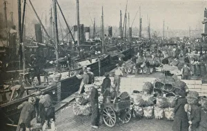 John Brown And Company1 Prints: The Herring Season in Full Swing, 1937