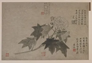 Hibiscus Prints: Hibiscus, 1347. Creator: Wang Yuan