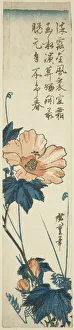 Hibiscus Prints: Hibiscus, 1830s. Creator: Ando Hiroshige