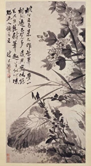 Hibiscus, Lotus, and Rock, ca. 1705-7. Creator: Shitao