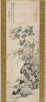 Ink And Colour On Paper Collection: Hibiscus and Magpies, 1847. Creator: Yamamoto Baiitsu