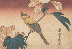 Hibiscus Prints: Hibiscus Mutabilis and Jay, ca. 1840. ca. 1840. Creator: Ando Hiroshige