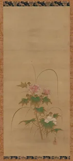 Hibiscus (part of a set), Edo period, mid 17th-early 18th century Hibiscus (part of a set), Edo period, mid 17th-early 18th century