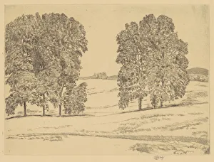 Hickories in a Hayfield, 1917. Creator: Frederick Childe Hassam