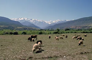 High Atlas, Morocco