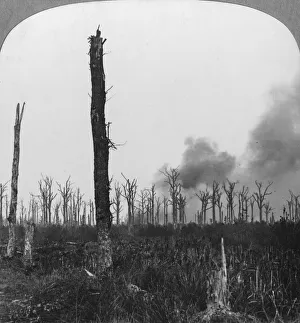 High explosive shells bursting in Mametz Wood, France, World War I, 1916. Artist: Realistic Travels Publishers High explosive shells bursting in Mametz Wood, France, World War I, 1916. Artist: Realistic Travels Publishers