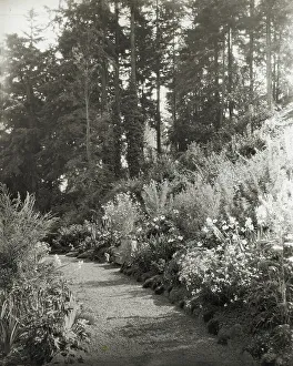 Oregon United States Of America Prints: High Hatch, Thomas Kerr garden