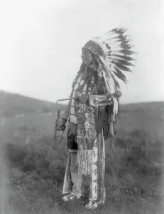 Brule Prints: High Hawk, c1907. Creator: Edward Sheriff Curtis