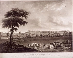 Cattle Collection: Highbury Place, Highbury, Islington, London, 1787. Artist: Robert Pollard