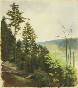 Eastern Europe Prints: Hill with scrub, 1850-1900. Creator: Jan Nowopacky