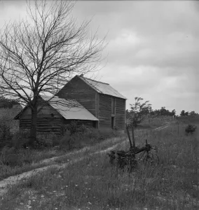 Outbuilding Gallery: Hillside Farm road leading from sharecroppers house... Person County, North Carolina, 1939