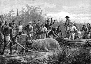 Angola Prints: Hippopotamus hunting in Angola, West Africa, 1880. Creator: Unknown