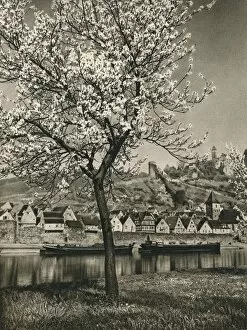 Pretty Gallery: Hirschhorn a. Neckar, 1931. Artist: Kurt Hielscher