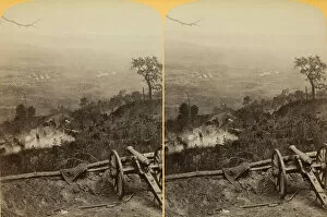 Sycamore Gallery: Historical Sycamore Tree, Orchard Knob in the distance, 1889