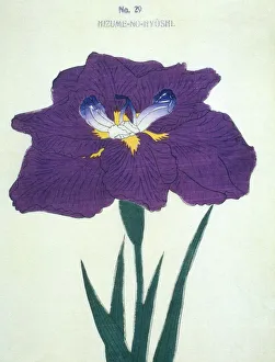 Hizume-No-Hyoshi, No 29