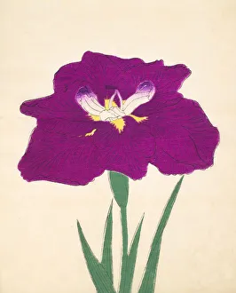Magenta Prints: Hizume-No-Hyoshi, No. 29, 1890, (colour woodblock print)
