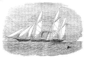 Screw Frigate Prints: H.M. Screw Gun-Vessel Wrangler