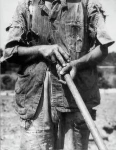 Hoe culture - Alabama tenant farmer near Anniston, 1936. Creator: Dorothea Lange